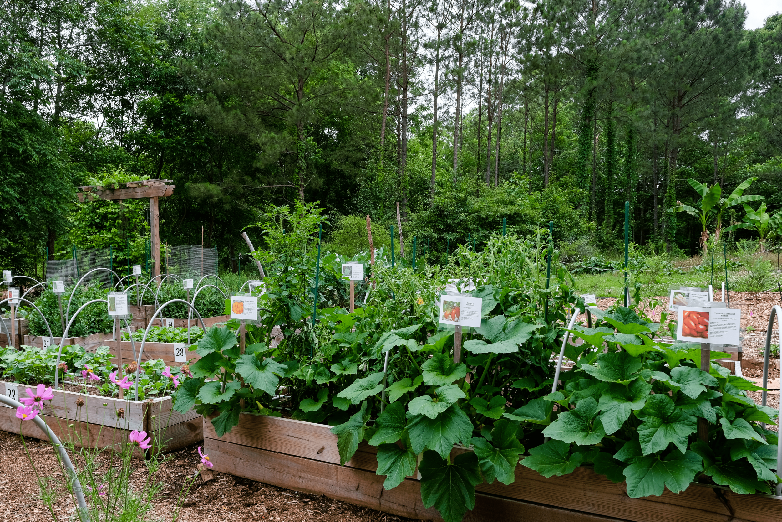 Urban Food Forest at Browns Mill; image sourced from Jeffrey Landau