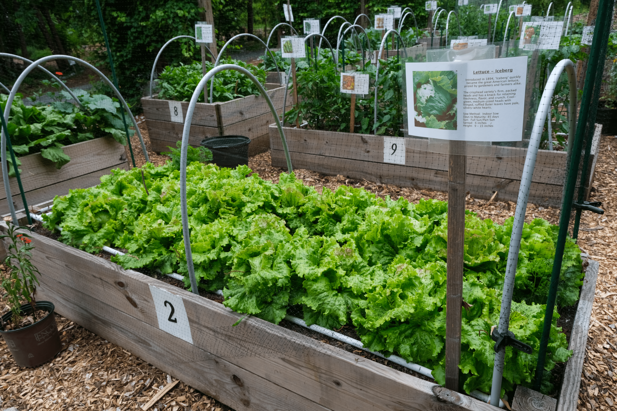 Urban Food Forest at Browns Mill; image sourced from Jeffrey Landau