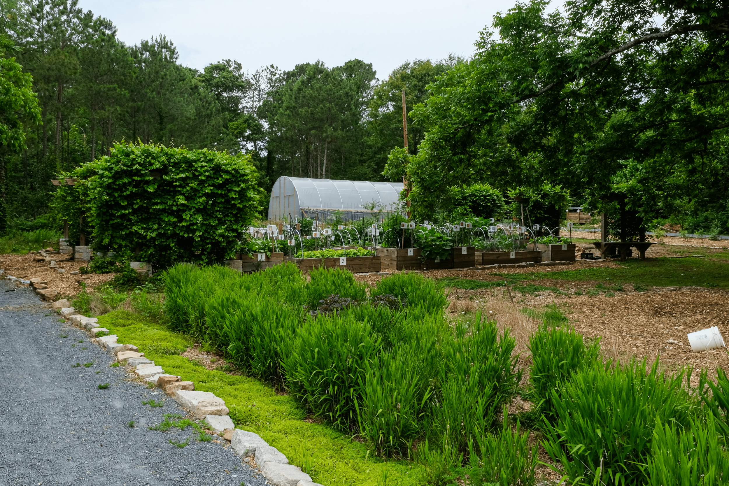 Urban Food Forest at Browns Mill; image sourced from Jeffrey Landau