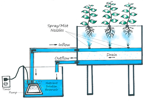 Aeroponics