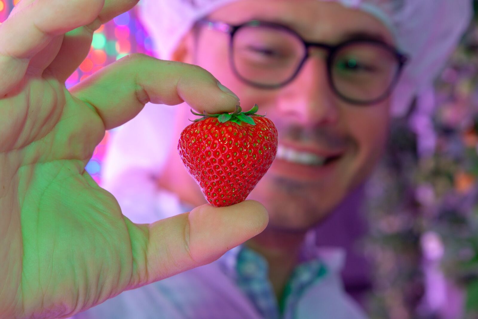 agricool strawberries dubai 2.jpeg