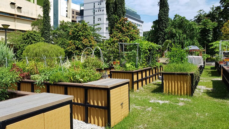 Image sourced from the Community in Bloom initiative