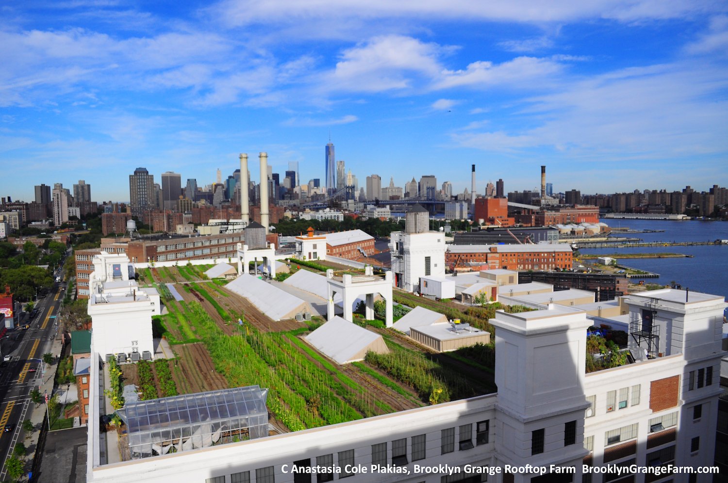 One of Brooklyn Grange’s rooftop farms in Brooklyn (not used in this study).