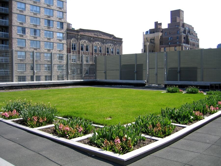 Calhoun School Green Roof