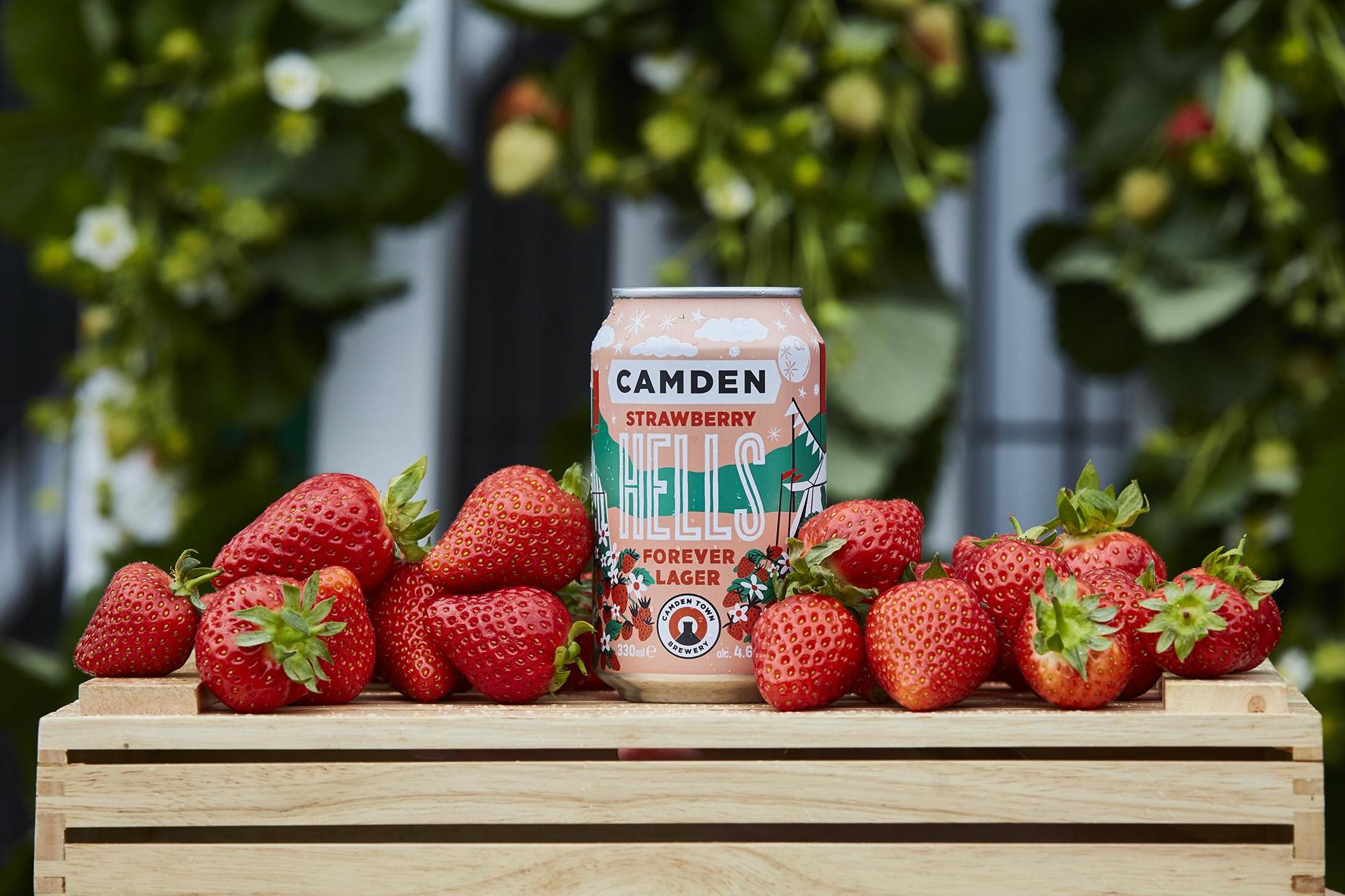 camdentownbrewery0706-0.jpeg