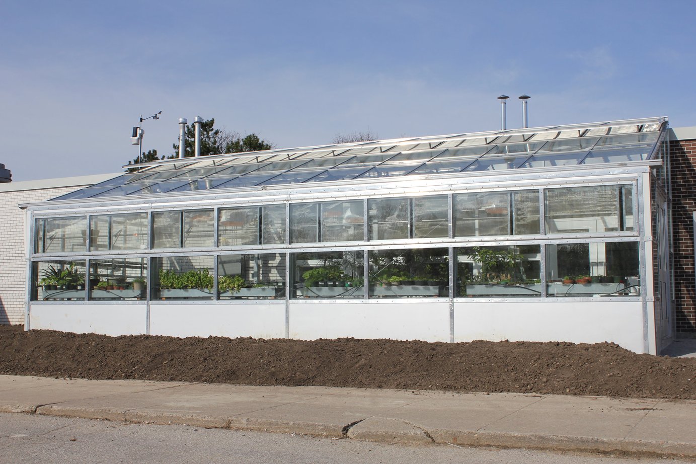 dan kunanec toronto greenhouse-3
