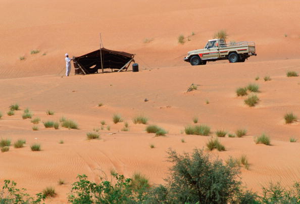 dessert crop land.jpg