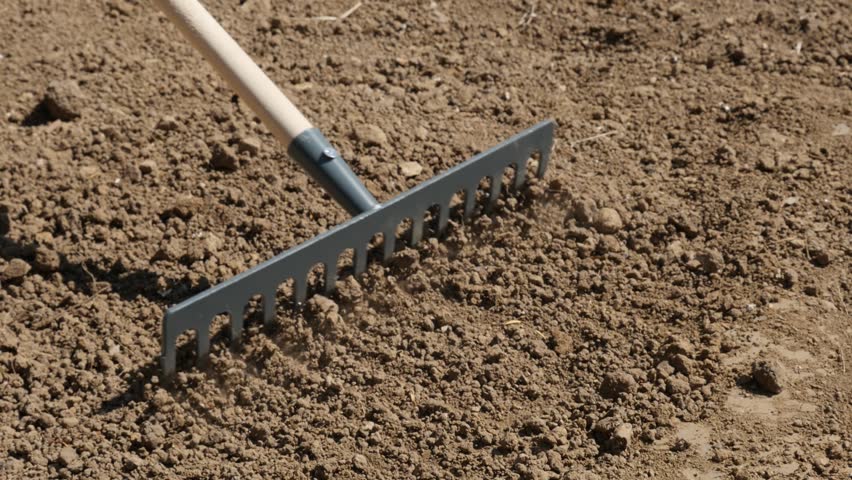 dirt.jpg