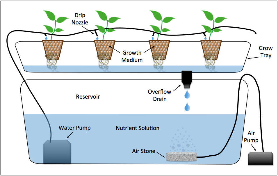 Drip System