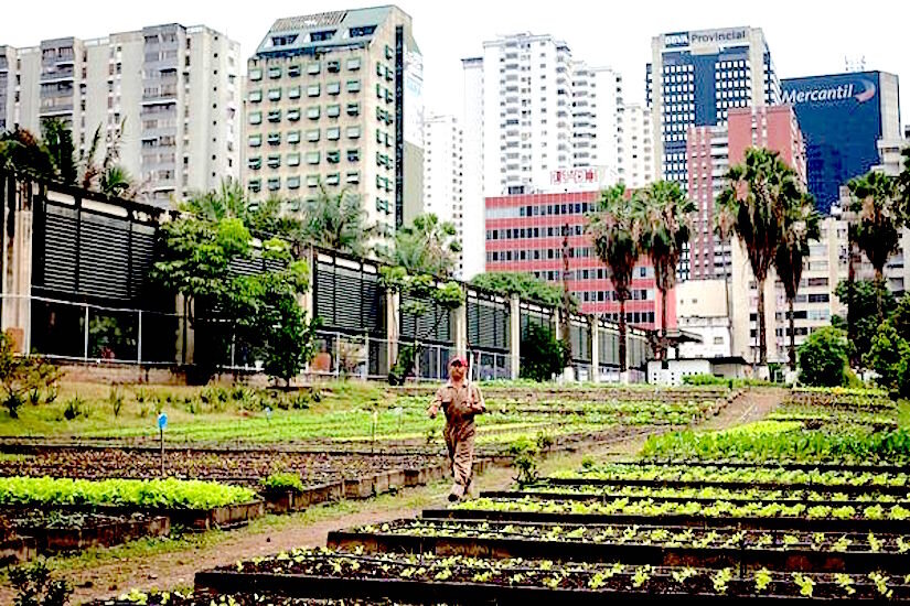 earth-day-urban-farming-venezuela_51635_600x450.jpg