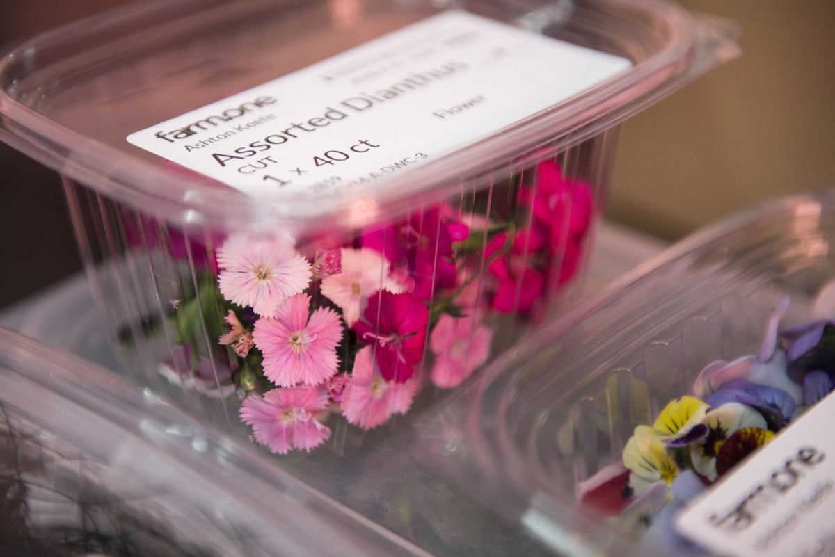 Technology is the central focus of most of the city’s new indoor farms.