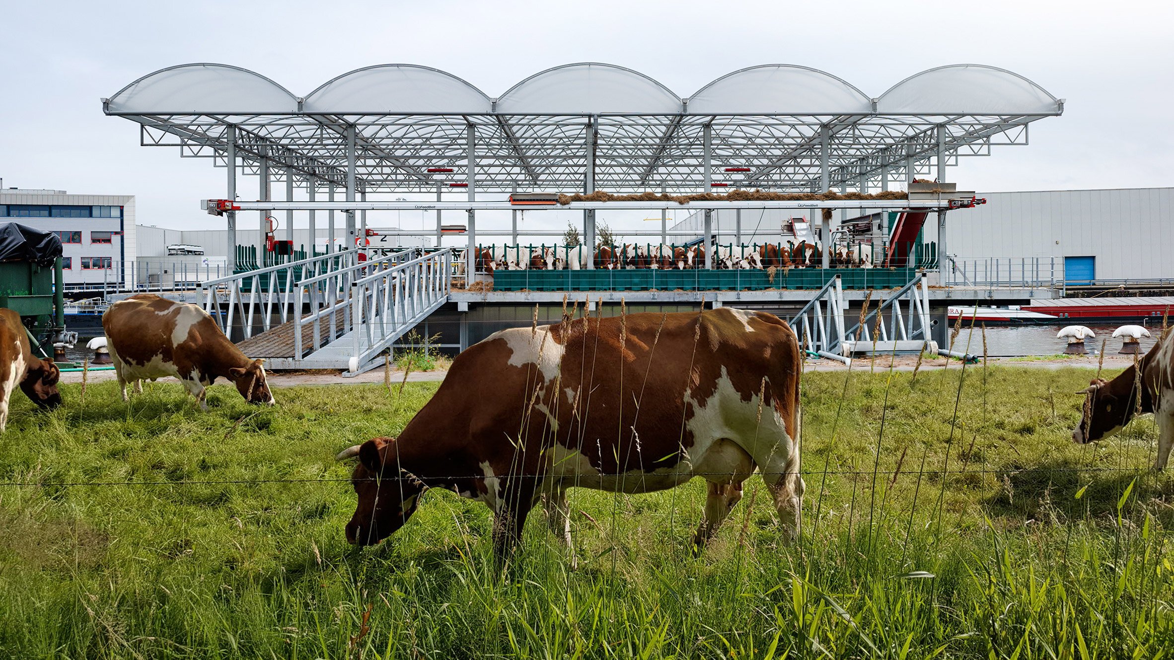 Image of Rotterdam’s Floating Dairy Farm, image sourced from Rubén Dario Kleimeer