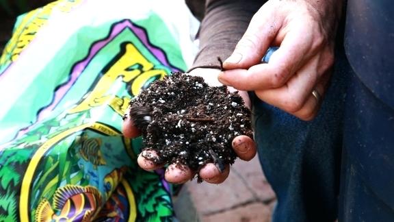 fox-farm-soil-shot.jpg