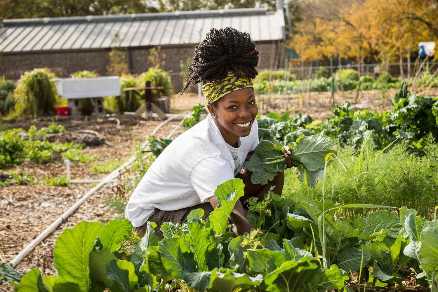 fresh_future_farm-0219.jpg