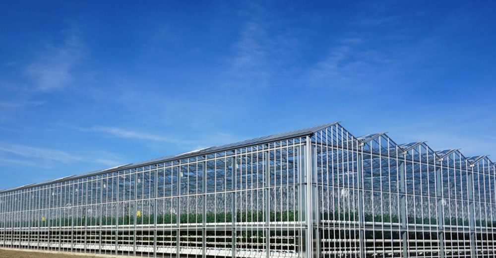 glass greenhouse.jpg