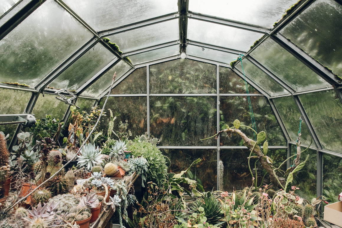 greenhouse 2.png