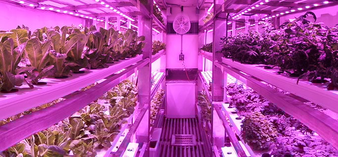 A look inside a Growtainer