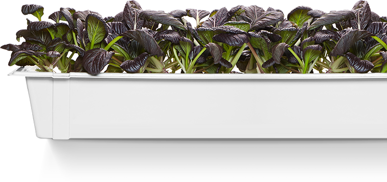 home-planters-one.png
