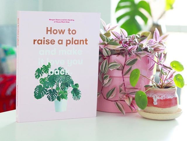 how to raise a plant.jpg