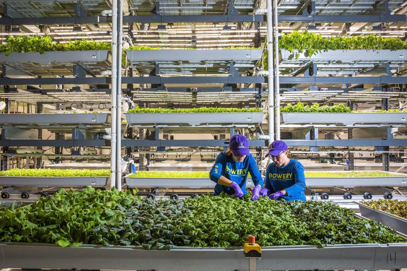 how-atificial-intelligence-helping-farmers-and-planet.jpg
