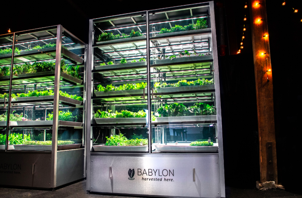 Babylon Micro Farms: A New Approach To Urban Food Production — AGRITECTURE