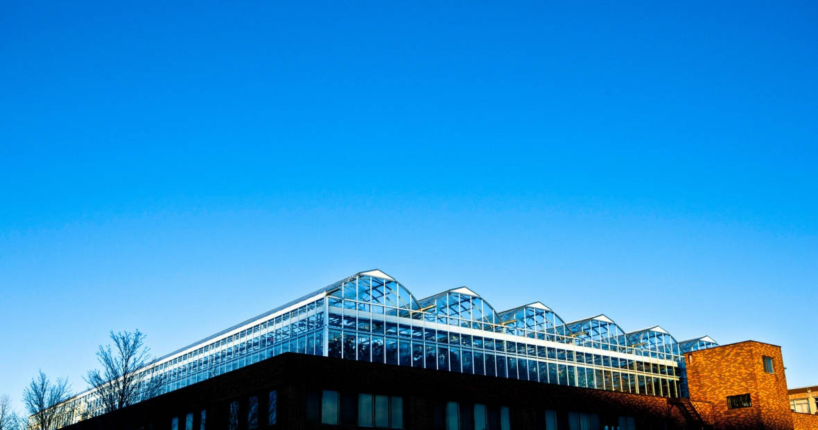Lufa Farms' Ahuntsic greenhouse.&nbsp;(Lufa Farms)