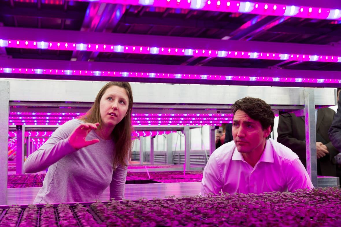 In 2017, Prime Minister Justin Trudeau visited Lufa Farms' Anjou location.&nbsp;(Lufa Farms)