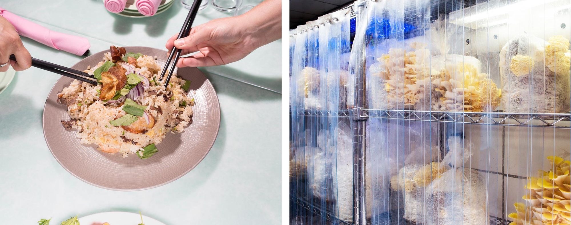 A fried rice dish (left)&nbsp;at Mission Chinese Food features Smallhold-grown oyster mushrooms. A shipping container (right) at North Brooklyn Farms, where Smallhold first began growing climate-controlled mushrooms for its restaurant clientele. (Ph…