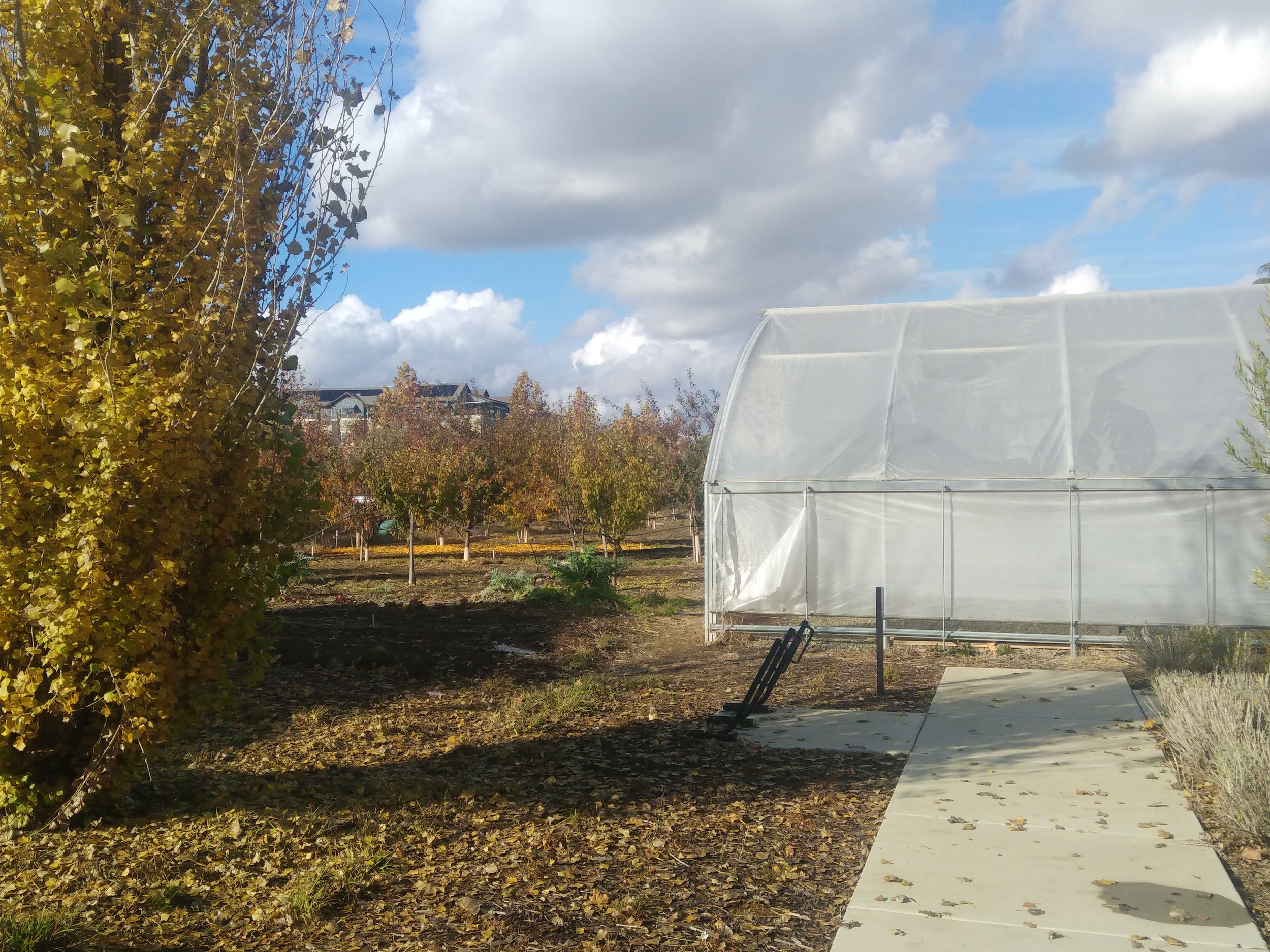 The Cannery ‘Agrihood’ in Davis, California.
