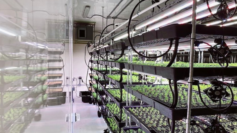 Heron Farms saltwater hydroponic agriculture; image sourced from @heronfarms
