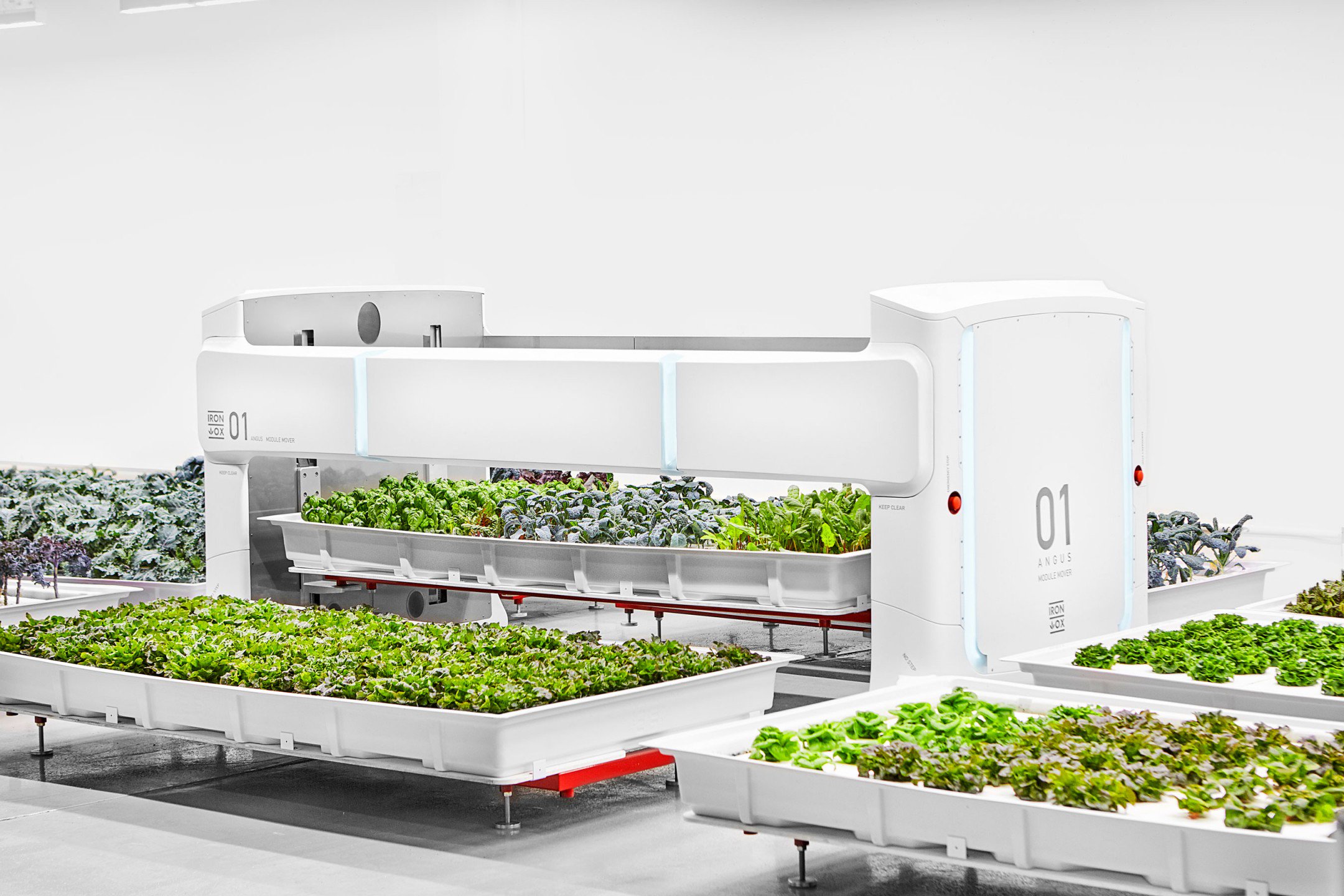 A robotic mover transfers a hydroponic container of leafy greens at Iron Ox’s growing facility. (Courtesy: Iron Ox)