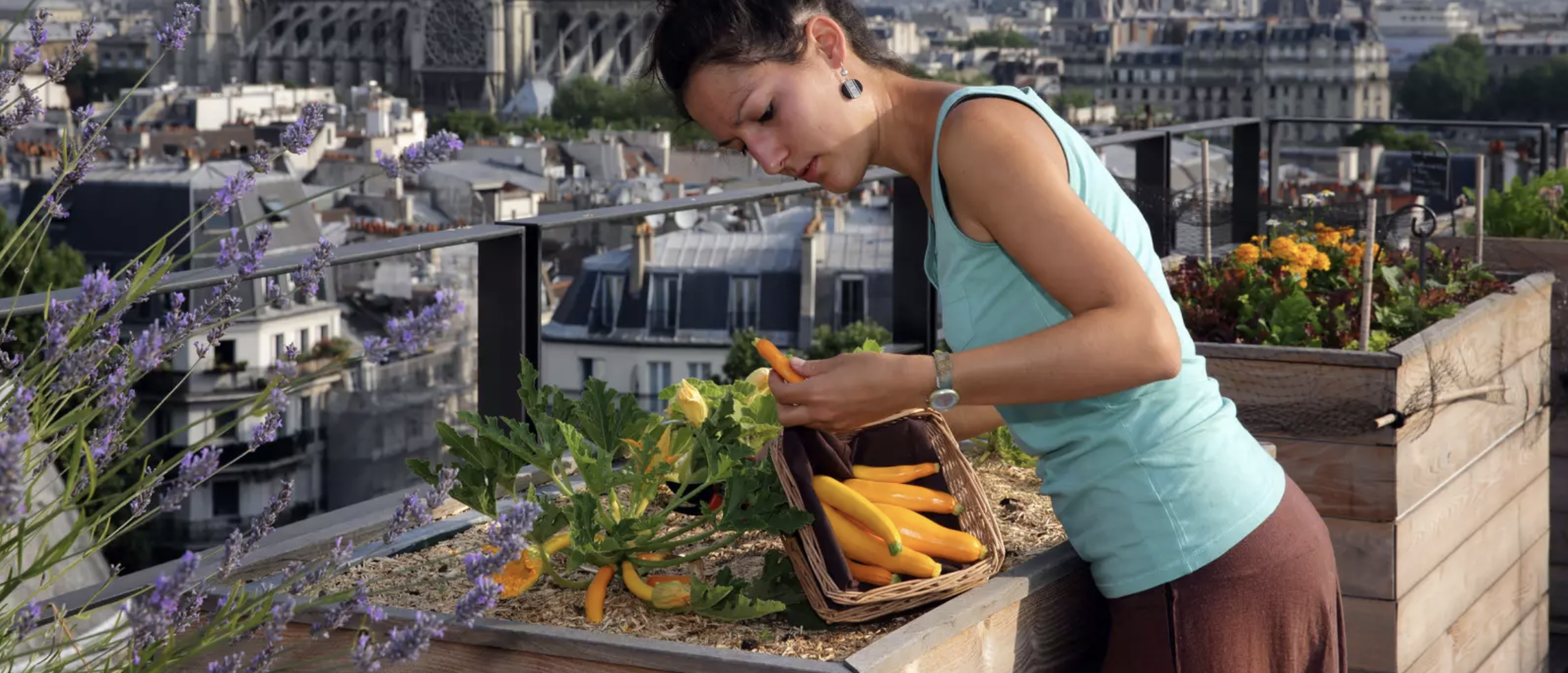 Urban farms are becoming common all cross the world; image: REUTERS/Philippe Wojazer