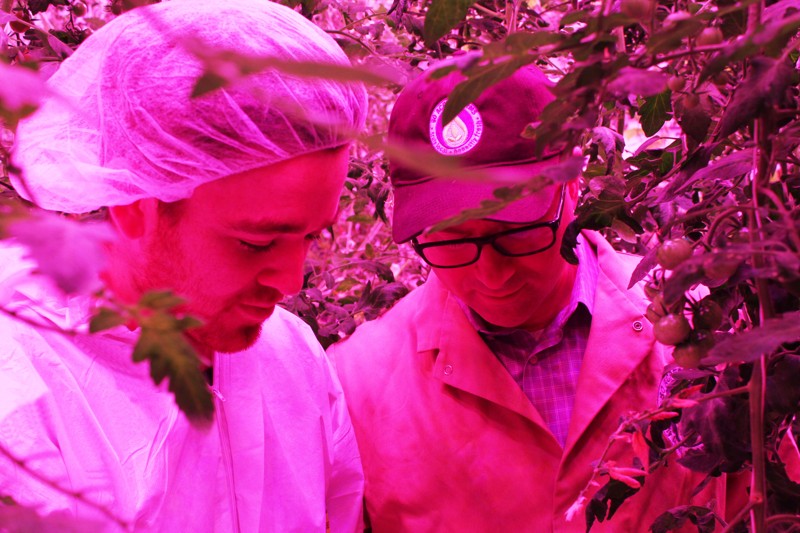 80 Acres Farms feeds plants the ideal nutrients and adjust light energy, temperature, airflow and humidity to fit each plant’s needs. (Photo: 80 Acres)