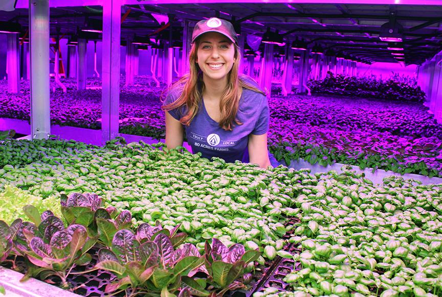 80 Acres Farms, which grows fruits and vegetables in an energy efficient, indoor environment, plans to start growing in Hamilton, Ohio in 2019. (Photo: 80 Acres)