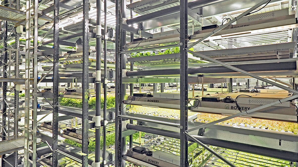 Bowery Farming's second farm in Kearny, New Jersey. Photo courtesy of Bowery Farming