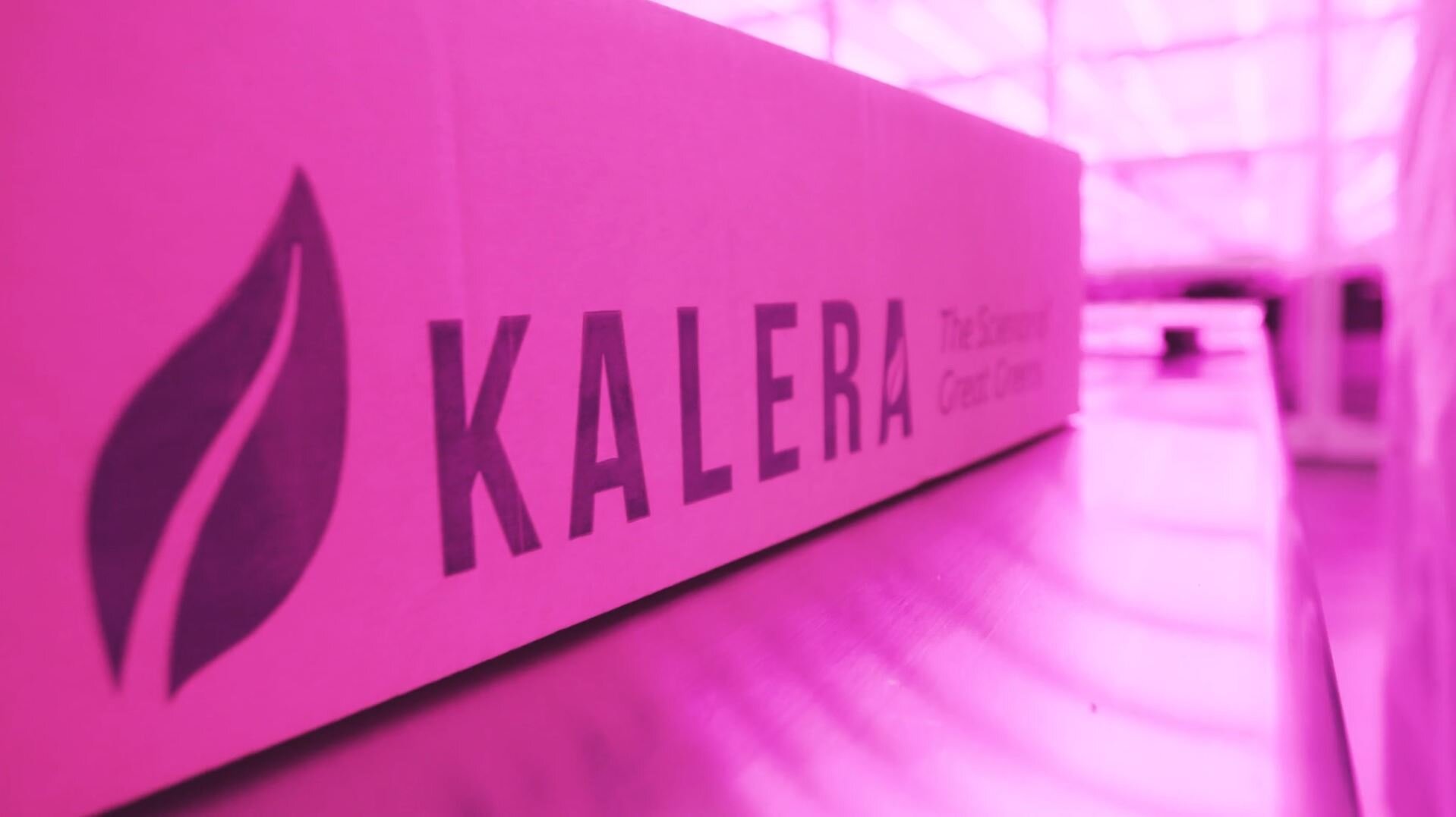 Kalera's new farm in Houston will be the largest such facility in Texas. Photo courtesy of Kalera
