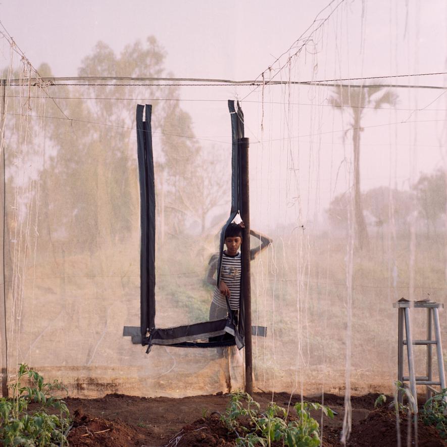 Vikram Bhavanth, 13, peers through the family's greenhouse. Kheyti collaborated with engineering students at Northwestern University and Stanford University’s Design for Extreme Affordability course to develop a prototype. After multiple iterations,…