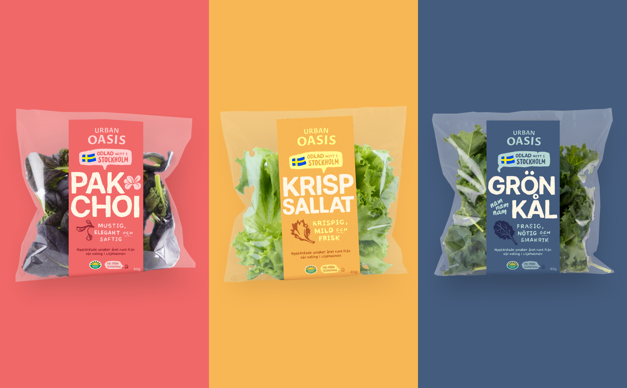 Urban Oasis’ leafy greens Pak Choi, Lettuce and Kale; image sourced from Urban Oasis
