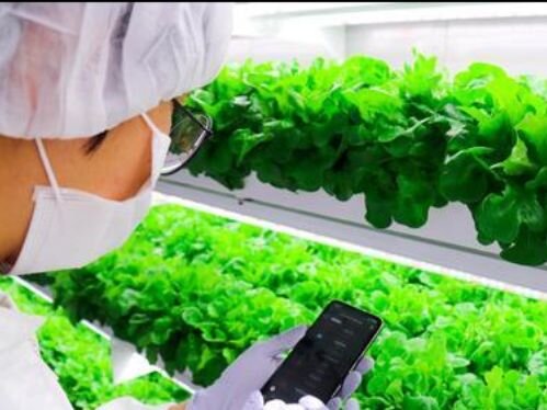 Image sourced from the FoodTech Challenge website