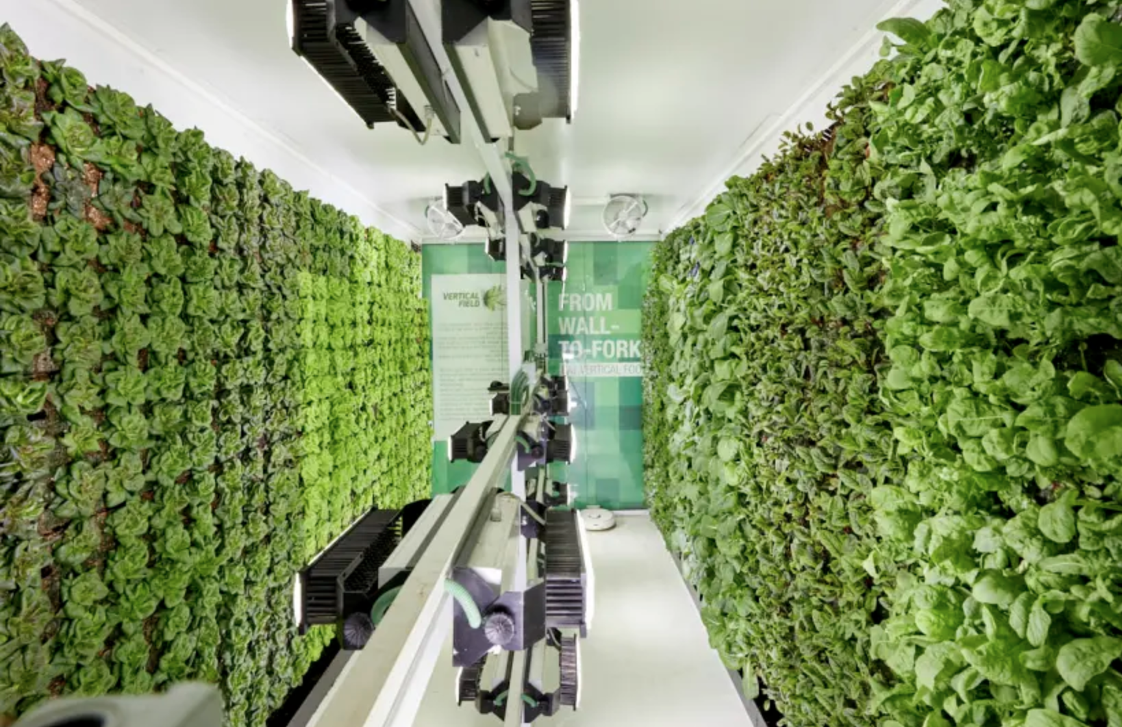 Vertical Field’s Urban Crops offers an ideal alternative to traditional agriculture; image sourced from Vertical Field