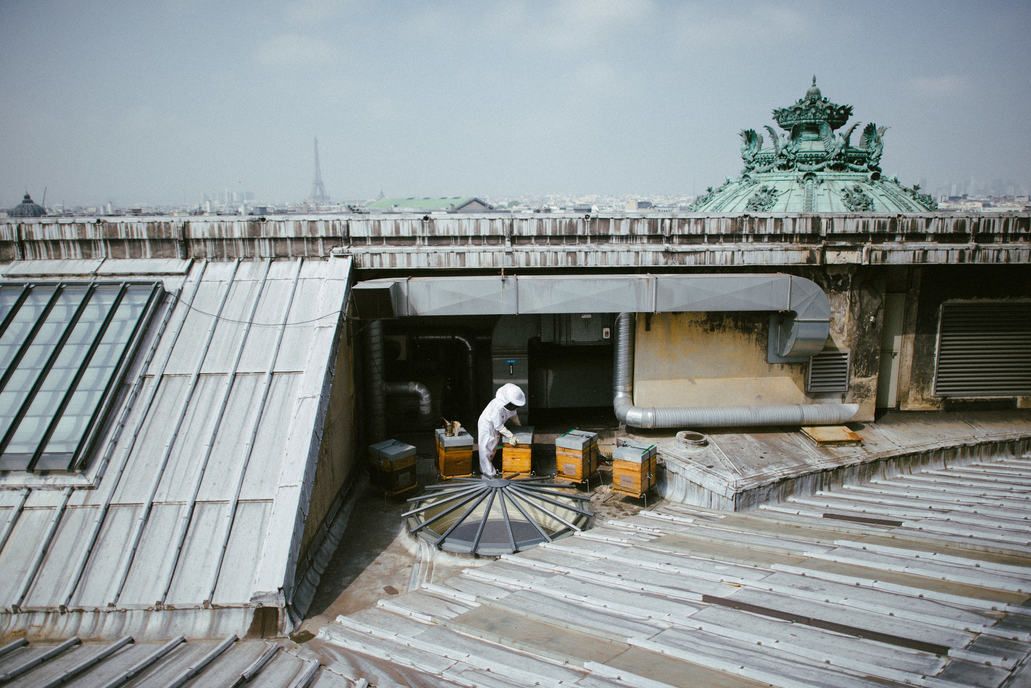 The hives on the roof of the Opera Garnier. (All Photos: Dmitry Kostyukov for The New York Times)