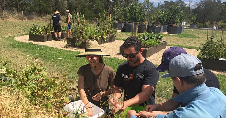 Volunteers at Sydney City Farm - an urban agriculture project started by the City of Sydney in Sydney Park.