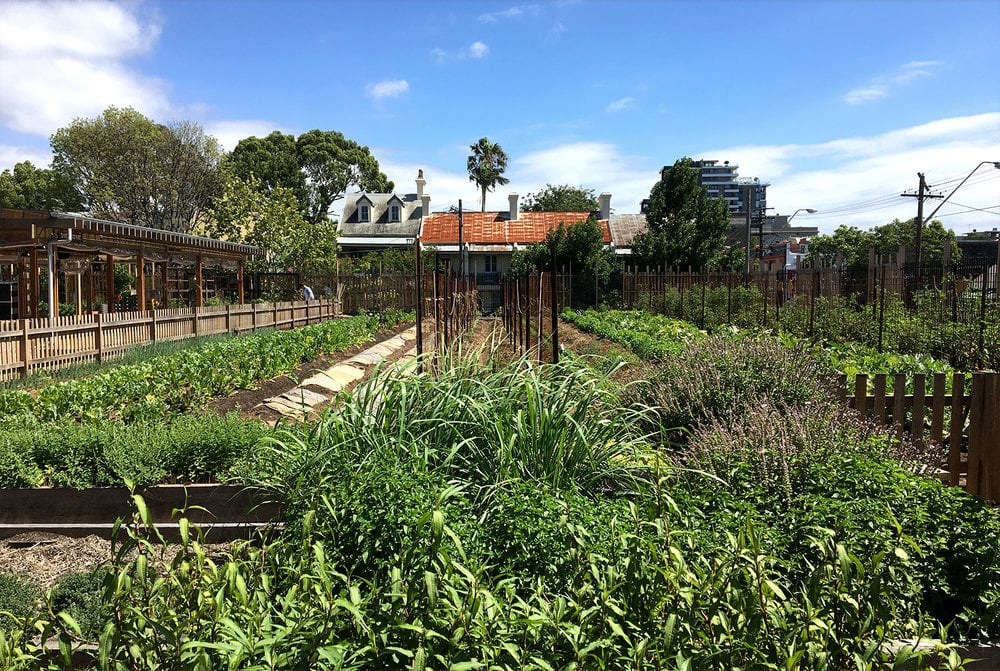 Pocket City Farms in Sydney, Australia.