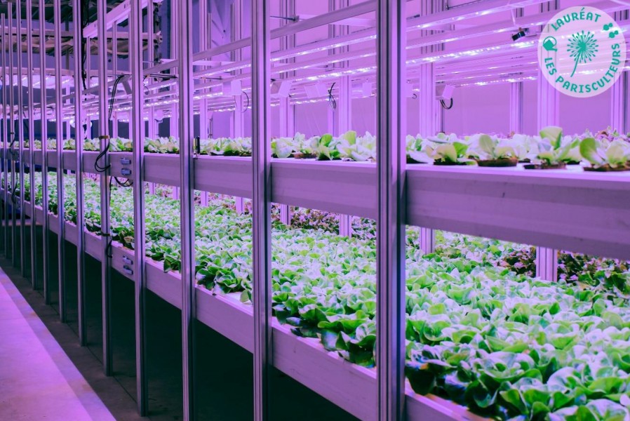 The first underground vertical farm in Paris, located in an old metro station. Project led by HRVST dans le Métro, laureates of Parisculteurs season 2.