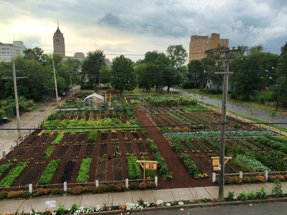 The Michigan Urban Farming Initiative’s (MUFI) two-acre farm in Detroit’s North End.