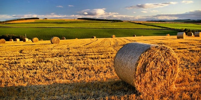 Harvested fields in Scotland. Credit: Gordon Robertson