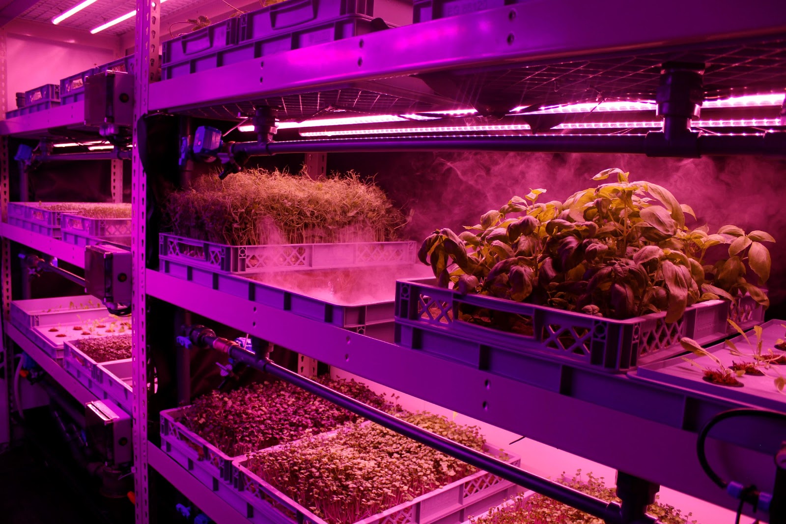 LettUs Grow is a Bristol based startup designing irrigation and control technology for indoor farms.