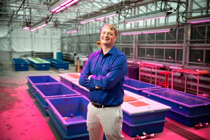 Neil Mattson, associate professor in the Horticulture Section of the School of Integrative Plant Science. (Photo:&nbsp;Chris Kitchen/University Photography)