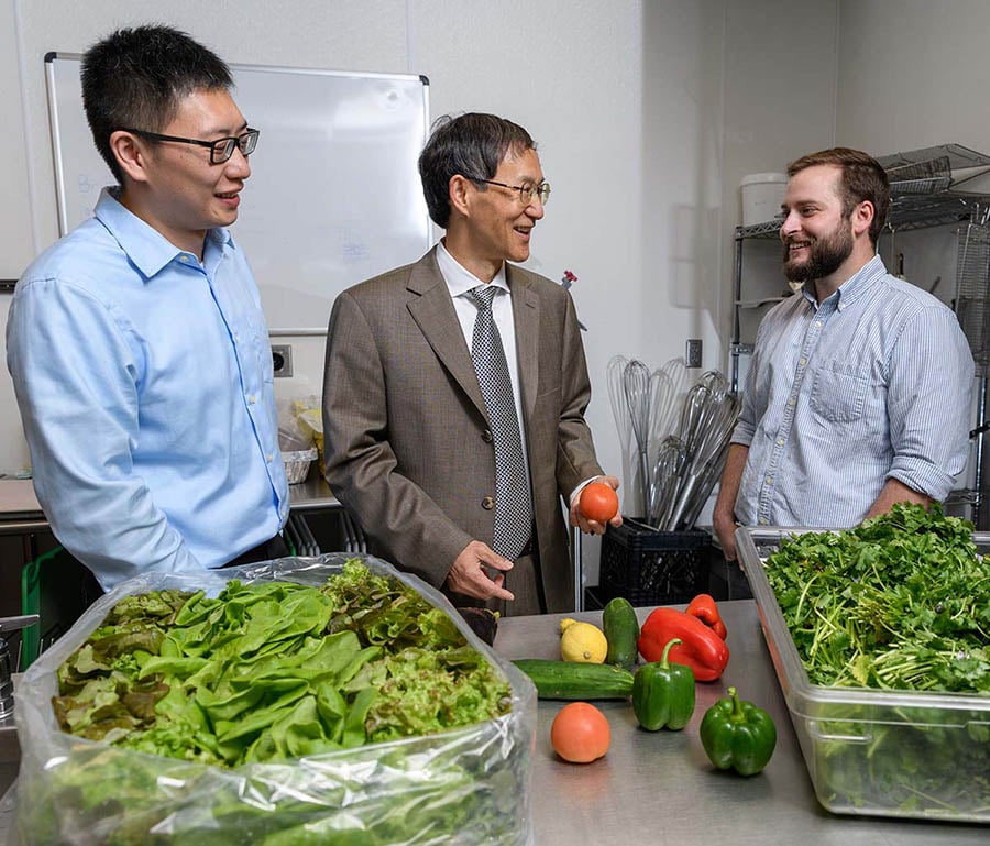 Postdoctoral fellow Bopeng Zhang, left, Professor Yongshen Chen and graduate research assistant Thomas Igou will pilot a project to use wastewater nutrients to grow lettuce, tomatoes and other fruits and vegetables. Their pilot system will use Georg…