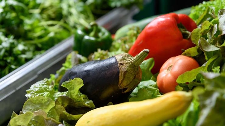 A pilot project funded by the U.S. Department of Agriculture will use wastewater nutrients to grow produce on Georgia Tech’s campus to test a model for decentralizing production of vegetables such as these.